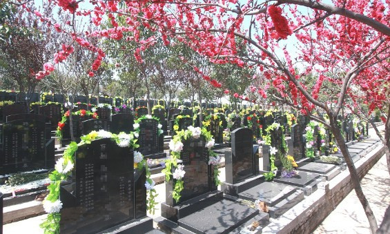 西安霸陵墓園新區(qū)原生態(tài)墓園