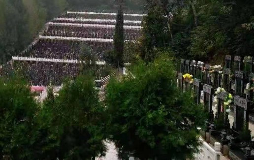 西安霸陵墓園多少錢-鳳棲山墓園南區管理處