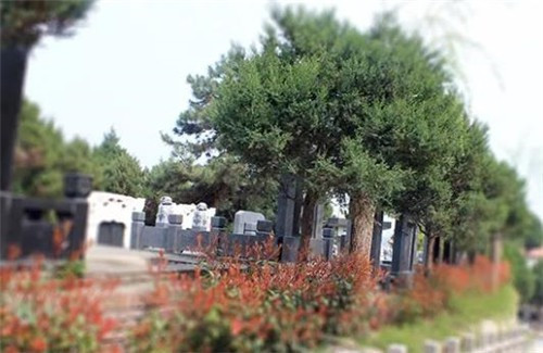 西安周邊公墓陵園分布大全,一站式購墓服務平臺