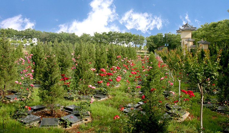 西安陵園-西安陵園：永恒的紀念和追思之地