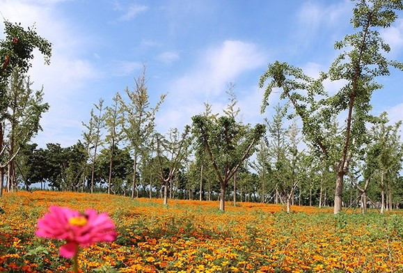 西安市灞橋區高橋墓園部分墓型贈精美隨葬品